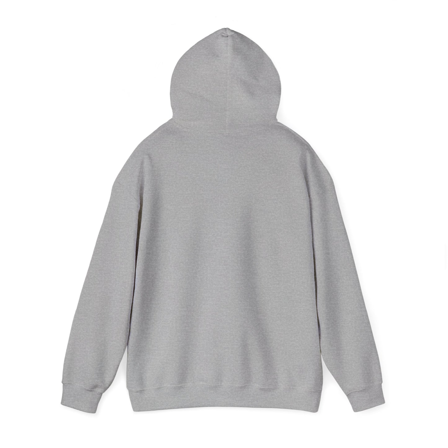 CHV Unisex Hoodie (light mode)