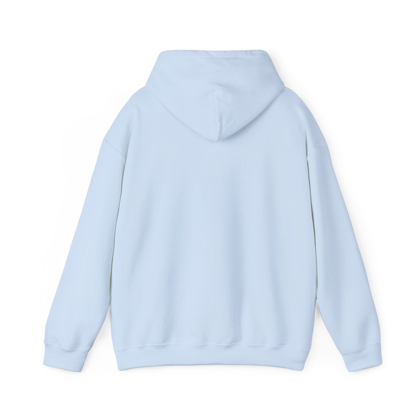 CHV Unisex Hoodie (light mode)
