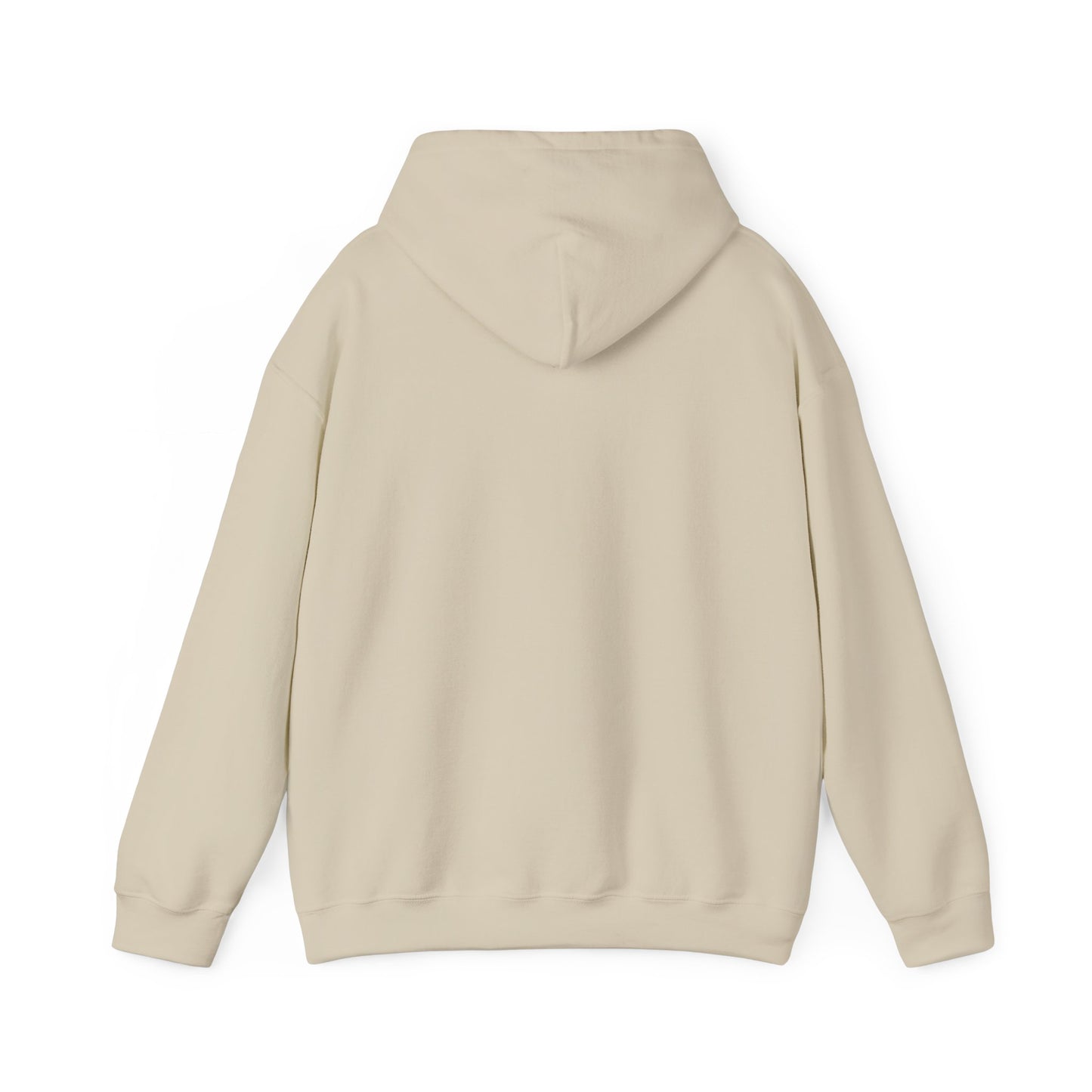 CHV Unisex Hoodie (light mode)