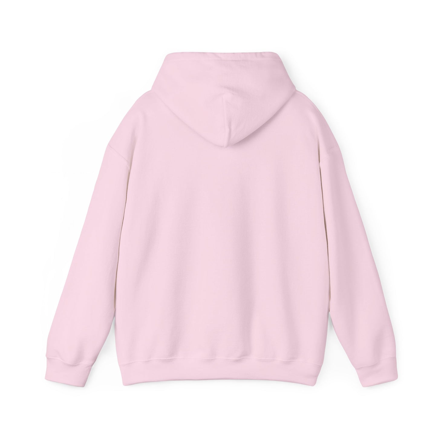 CHV Unisex Hoodie (light mode)