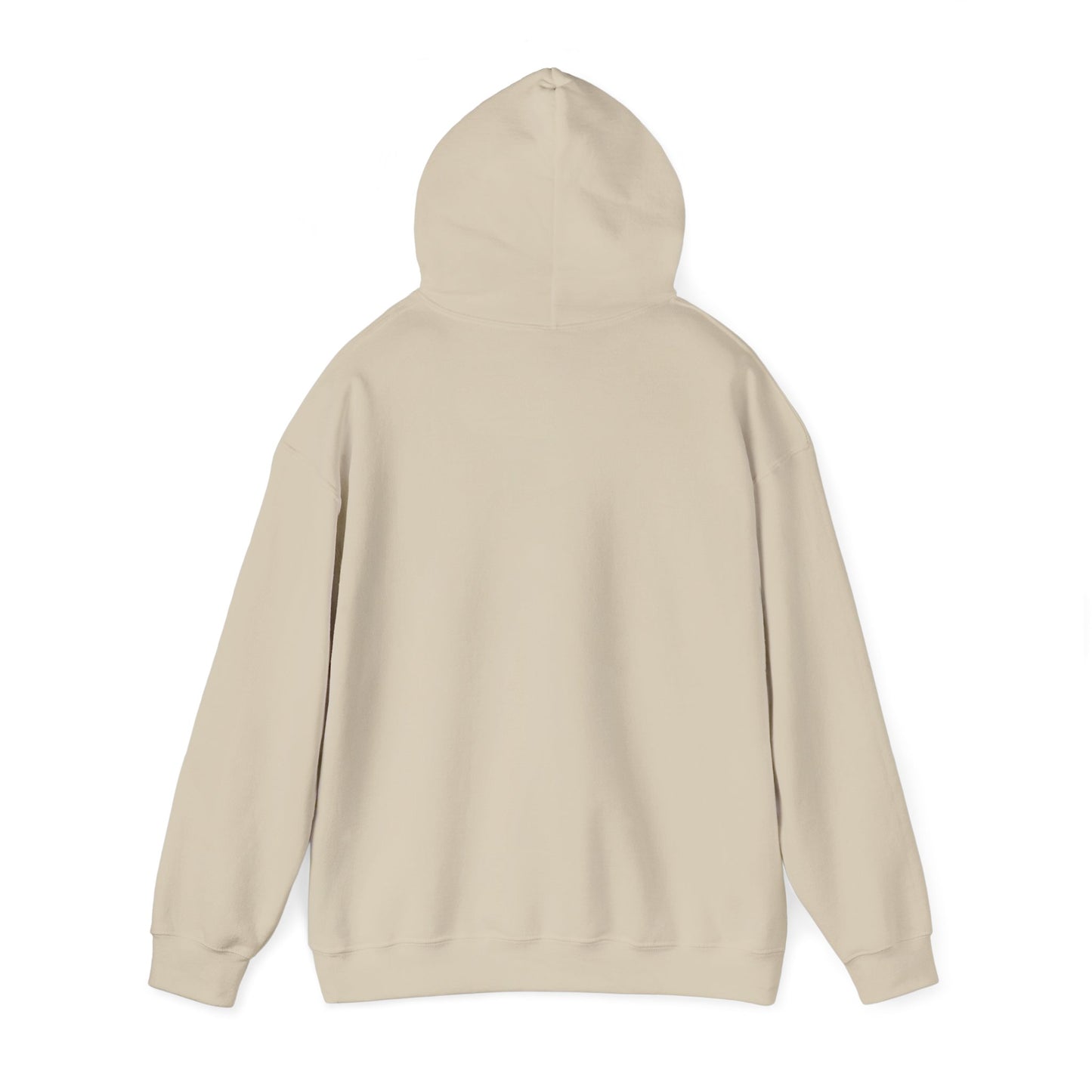 CHV Unisex Hoodie (light mode)