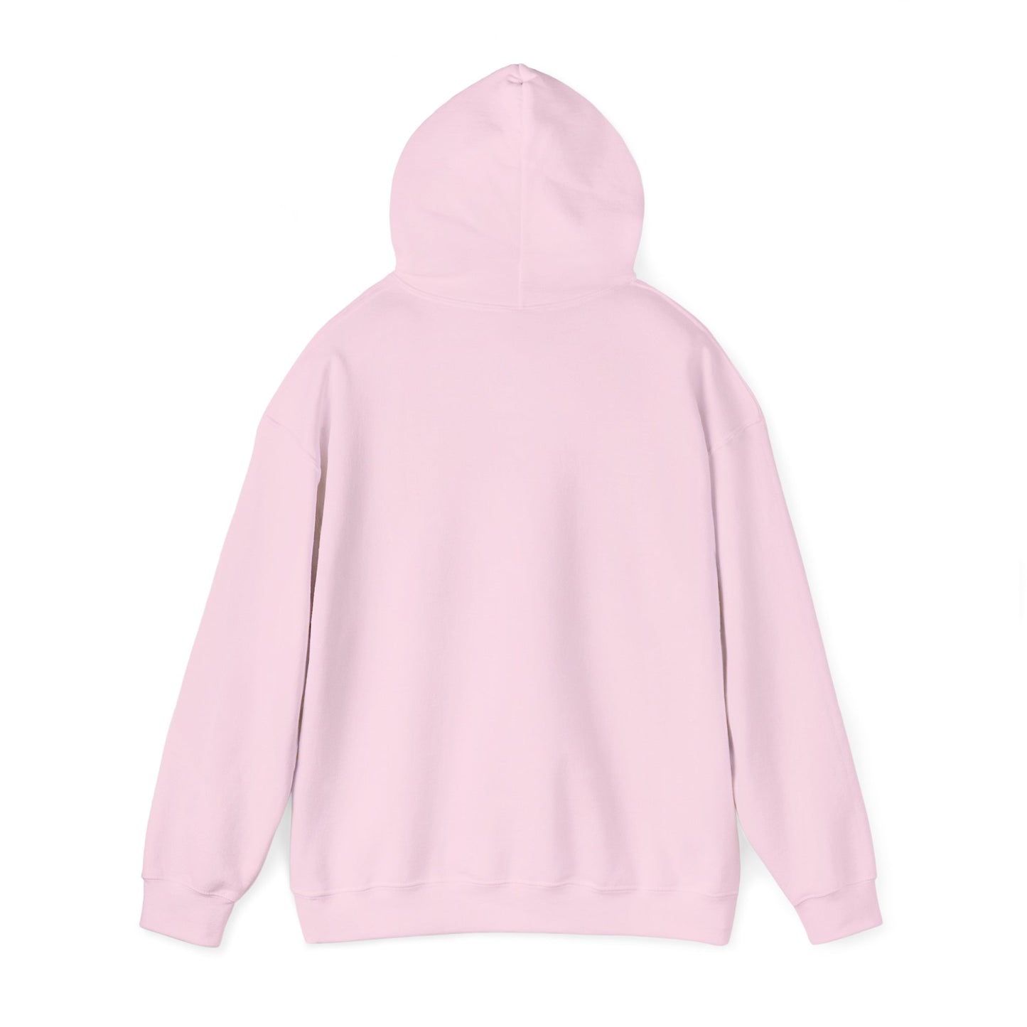 CHV Unisex Hoodie (light mode)