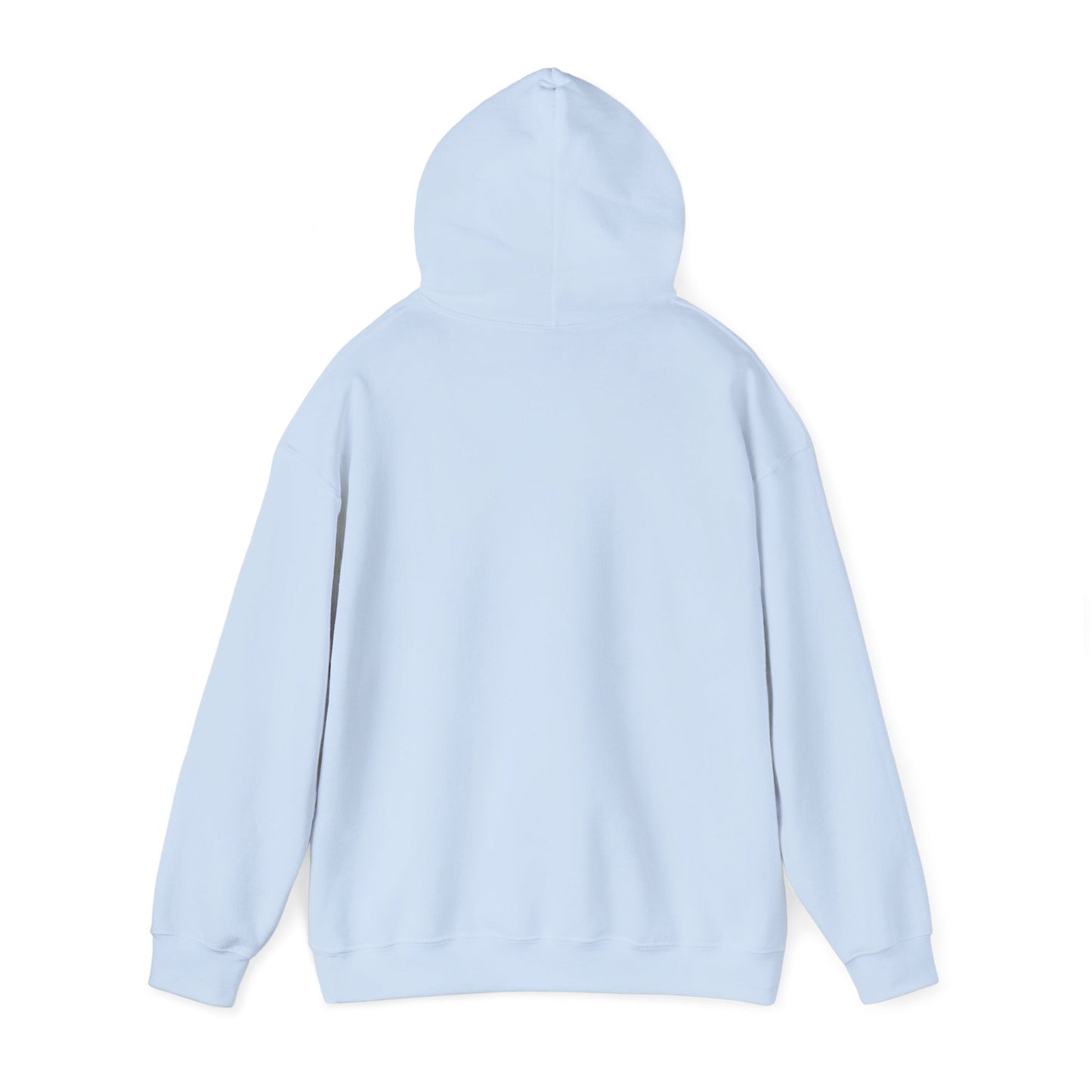 CHV Unisex Hoodie (light mode)