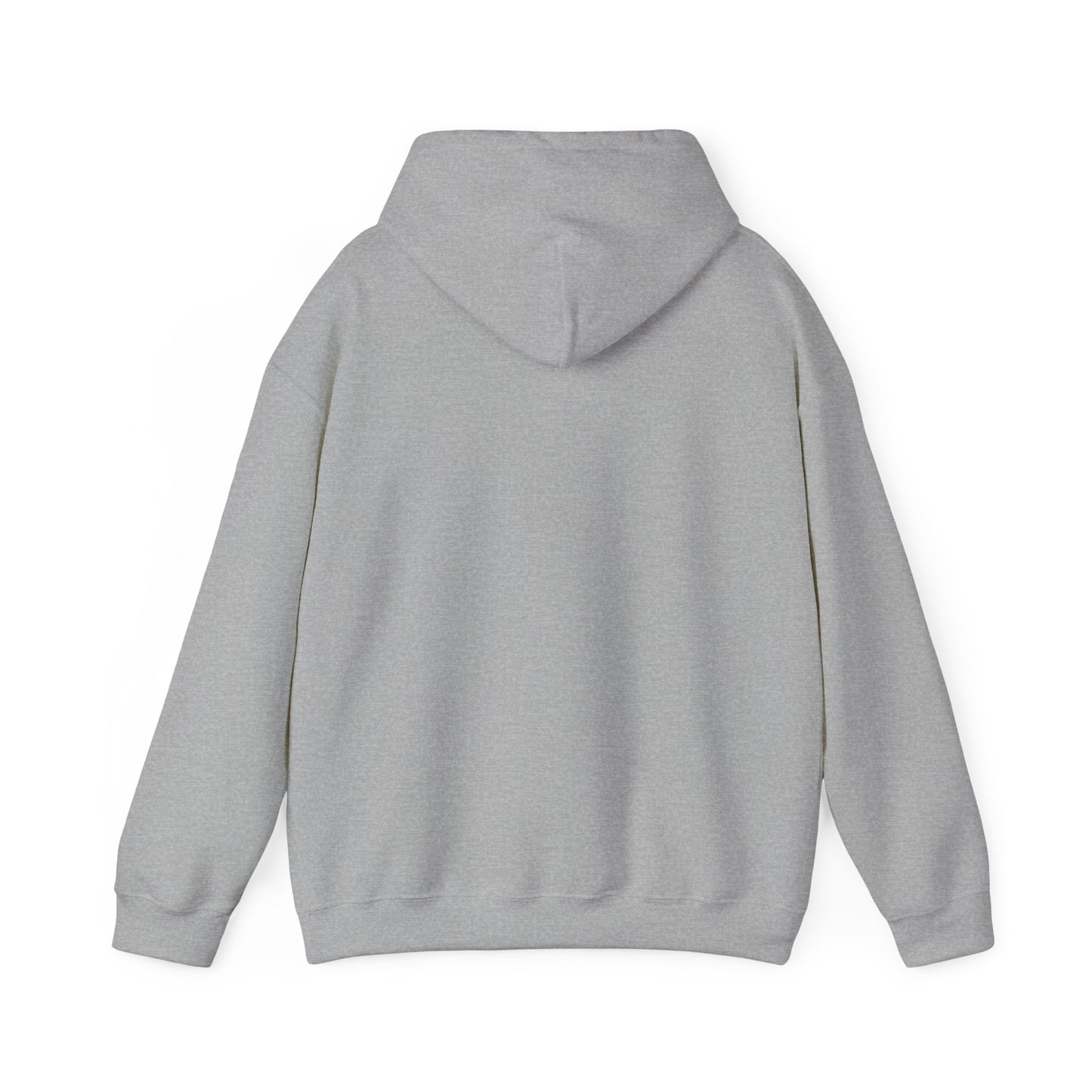 CHV Unisex Hoodie (light mode)